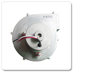 �����̳�������