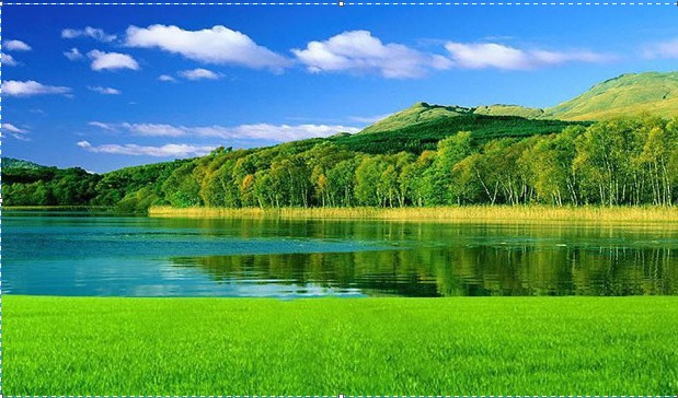 ���ÿ���������