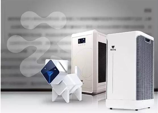 �̳�������