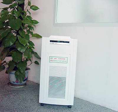 ���ʽ����������