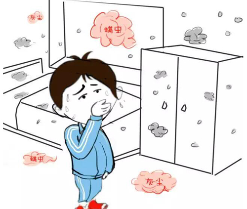 ������Ⱦ