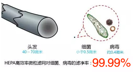 ��Ⱦ��ϸ��