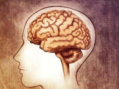 �����̳�������-����ʹ���Գٶ�