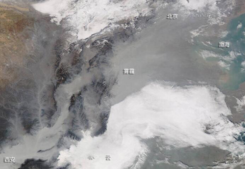 �����µı������������̳�������