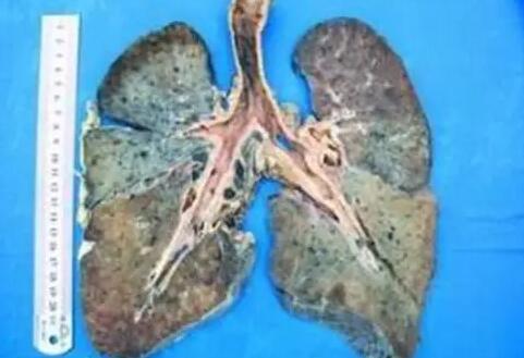 �̳��β����������̳�������