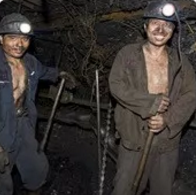 �۳�������������