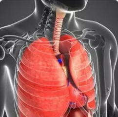 �۳�����������������