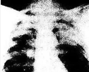 �纸����ְҵ���������β�