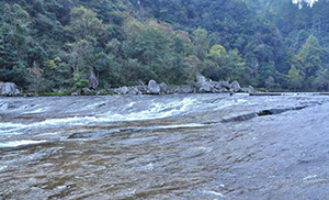 �����ҿ���������������