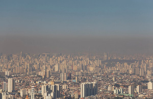 ������Ⱦ