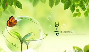 ���ÿ���������-���