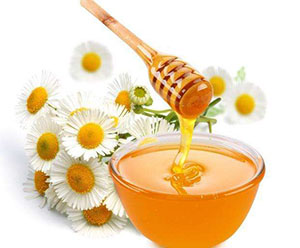 ���ڿ���������-����